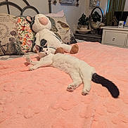 Willow joined the competition — help win amazing prizes! cat, bed, blanket, plush_toy, cow_plush, pillow, decor, indoor, furniture, relaxed, animal, pet, white_cat, black_tail, sleepy, soft_texture, cozy, resting, room, home