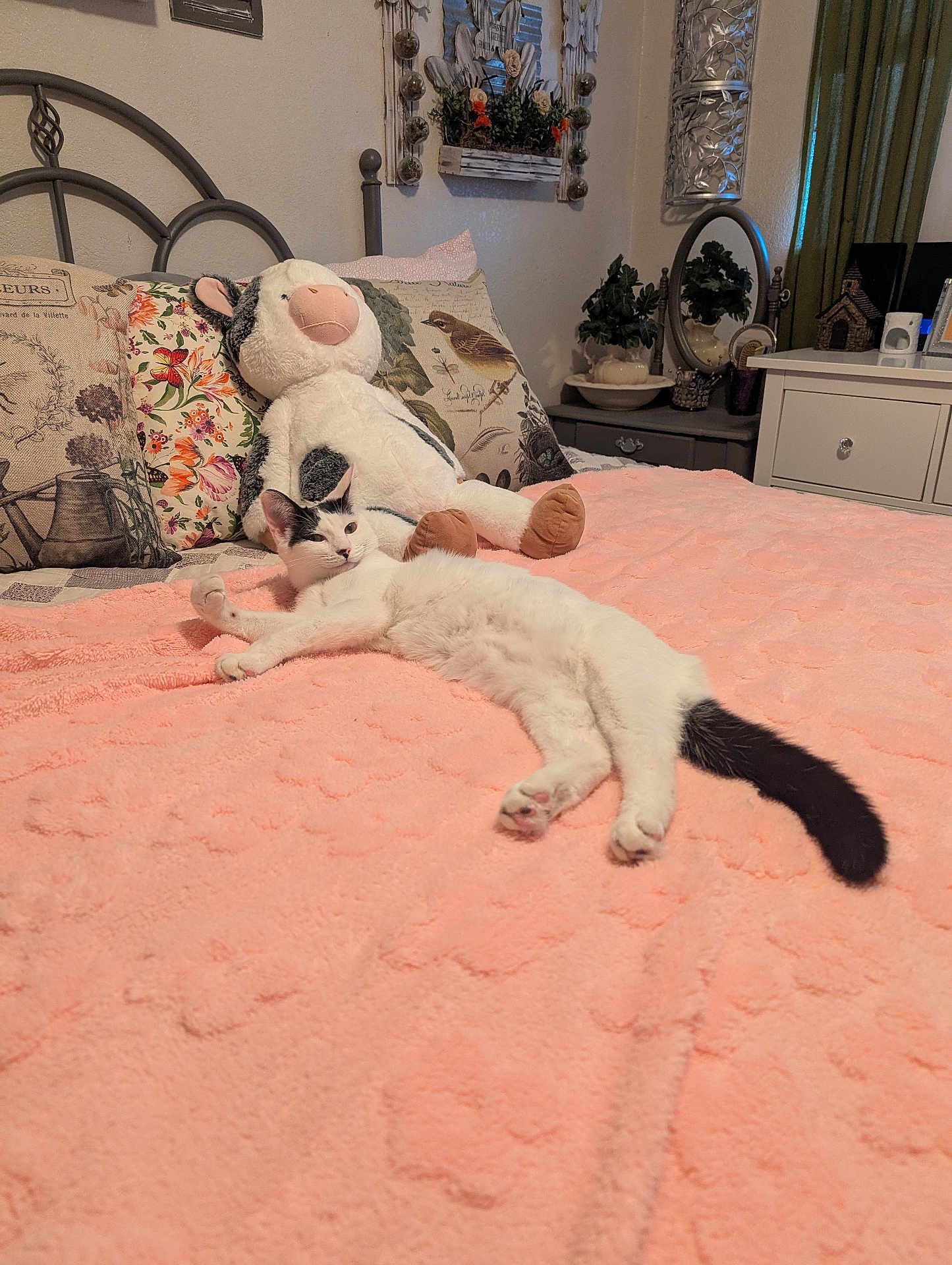Willow joined the competition — help win amazing prizes! cat, bed, blanket, plush_toy, cow_plush, pillow, decor, indoor, furniture, relaxed, animal, pet, white_cat, black_tail, sleepy, soft_texture, cozy, resting, room, home