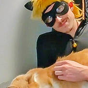Scotty is registered to the contest to win money with this photo: person, cat, costume, mask, yellow_wig, orange_cat, petting, indoor, table, hand, relaxed, animal, feline, black_clothing, smile, fun, casual, companion, cute, friendship
