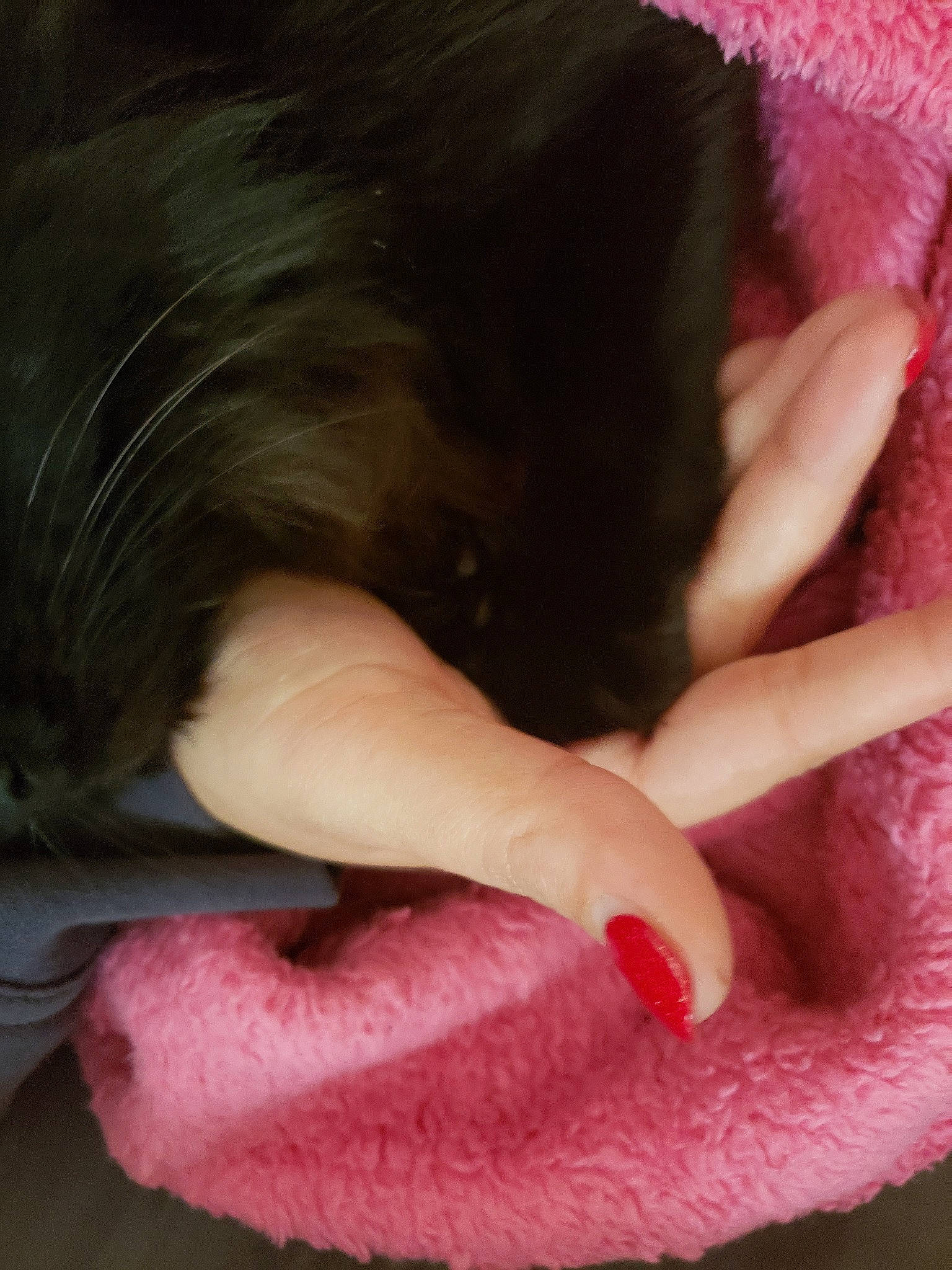 Raven is registered to the contest to win money with this photo: black_hair, fawn, finger, flesh, hand, lip, long_hair, mouth, pink, skin, thumb