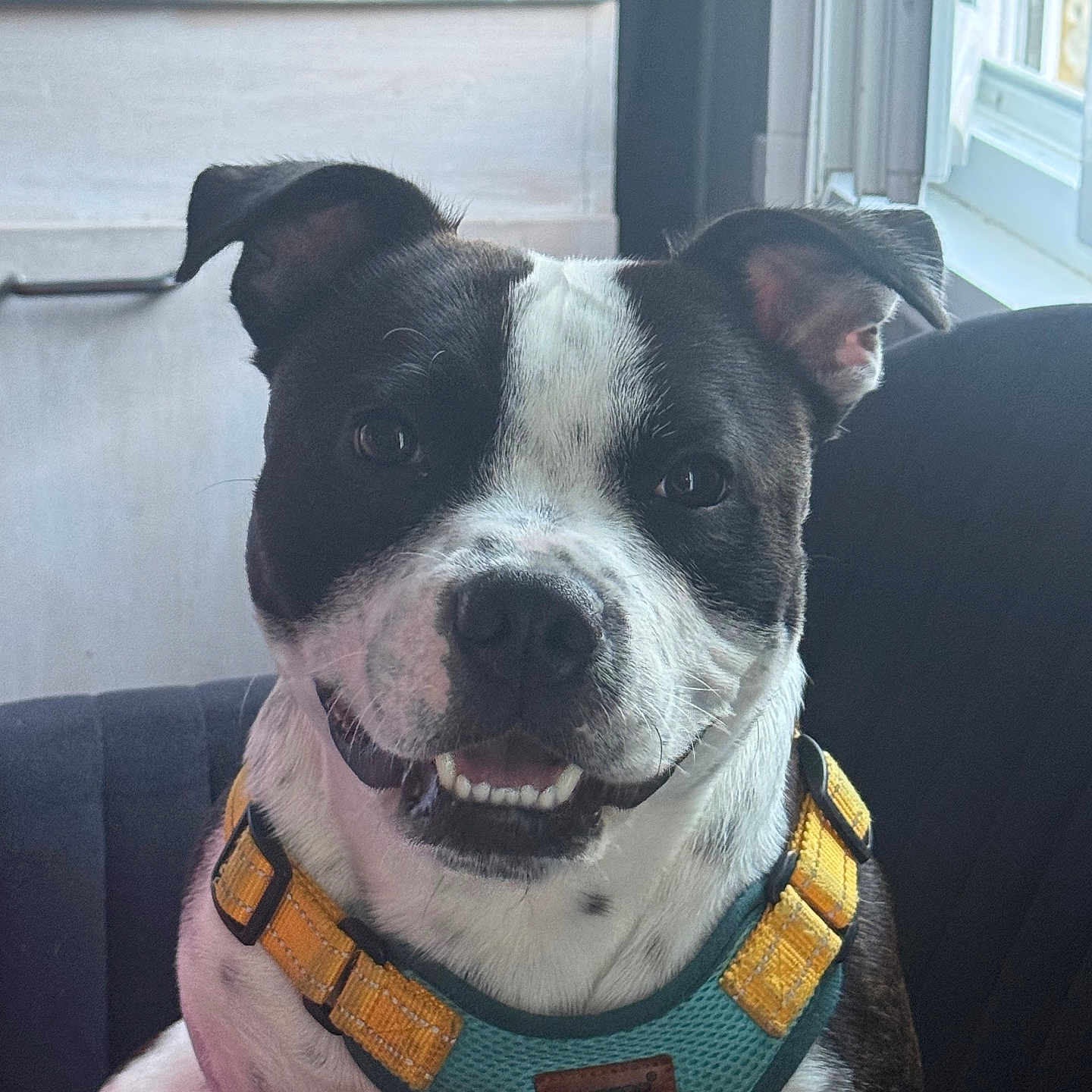 Aiko Dixon