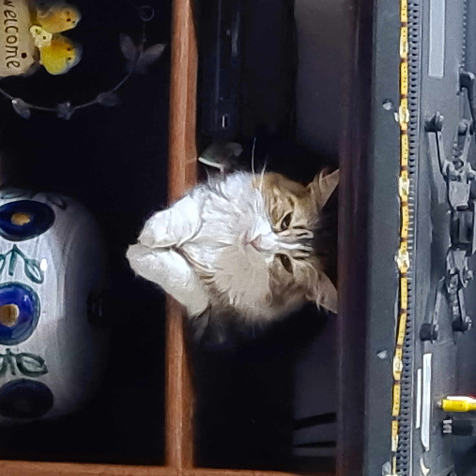 Gribouille
