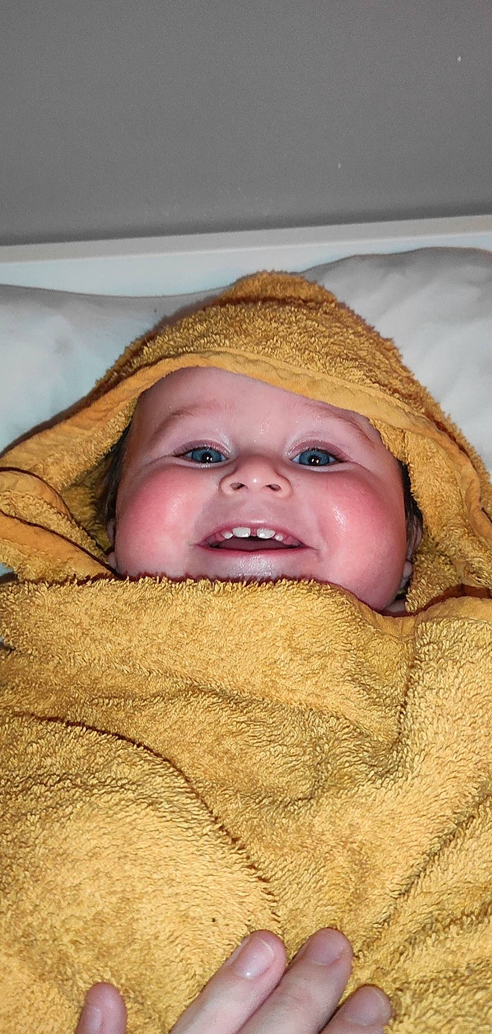 Joyce a rejoint le concours — aidez-le/la à gagner de superbes lots ! baby, cap, cheek, chin, comfort, eye, eyebrow, face, fur, happy, headwear, iris, linens, lip, mammal, nose, outerwear, person, skin, smile