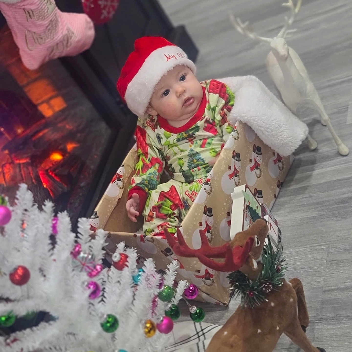 Sailor joined the competition — help win amazing prizes! baby, christmas, christmasdecorations, christmastree, clothing, costume, face, festival, hat, head, openingpresent, person
