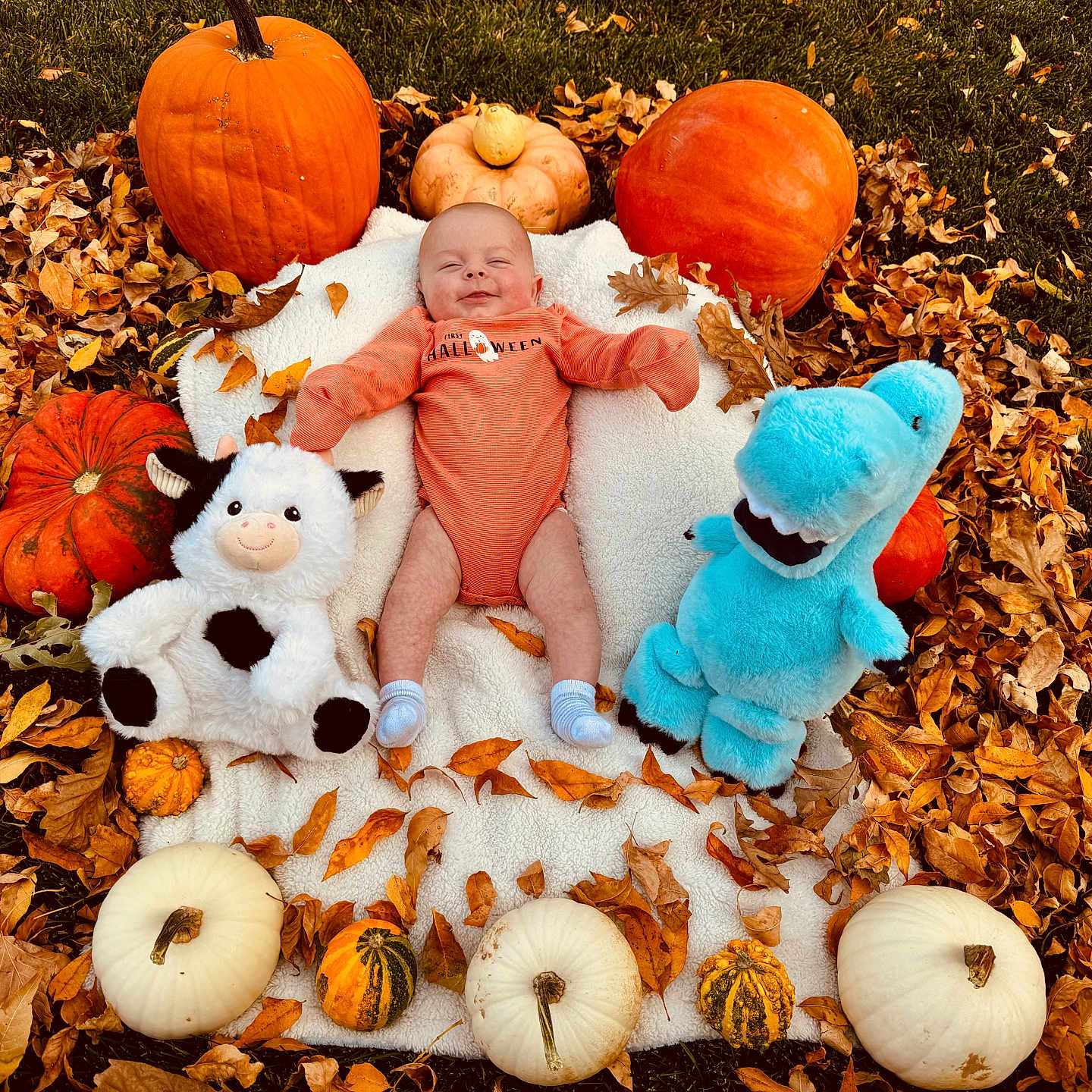 Andrew is registered to the contest to win money with this photo: architecture, baby, building, clothing, costume, face, food, grass, head, leaf, outdoors, person, photography, plant, portrait, produce, pumpkin, squash, toy, vegetable