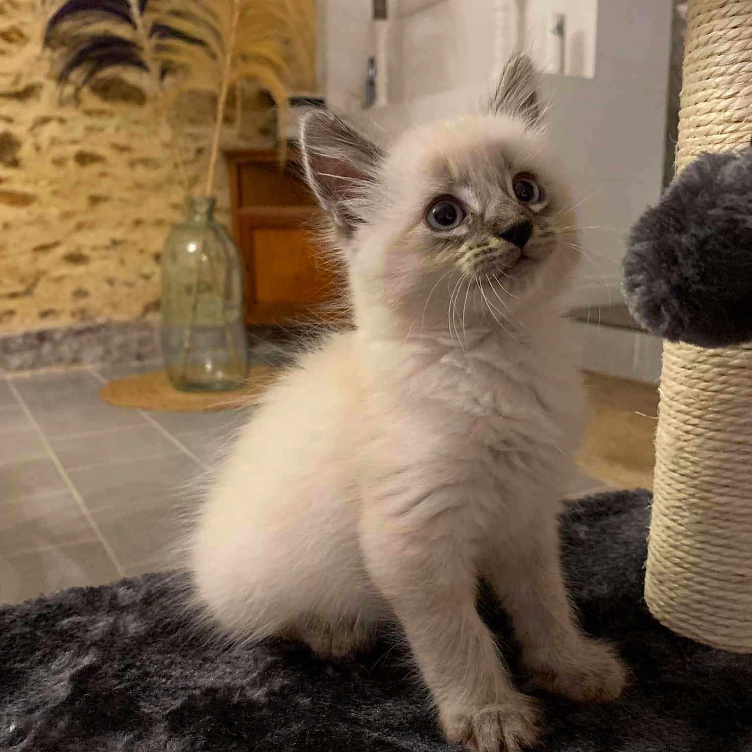 Bouba