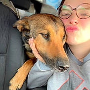 Diesel participe au concours pour gagner de l'argent avec cette photo : dog, person, glasses, car_interior, seat, affection, closeup, casual_clothing, brown_dog, hand, head, pet, friendship, happy, indoors, seatbelt, sweatshirt, animal, cute, companion