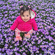 Alyara joined the competition — help win amazing prizes! child, baby, toddler, girl, flowers, crocus, purple_flowers, flower_field, pink_jacket, hair_bows, pigtails, smiling, sitting, outdoors, grass, spring, booties, floral_print, portrait, nature