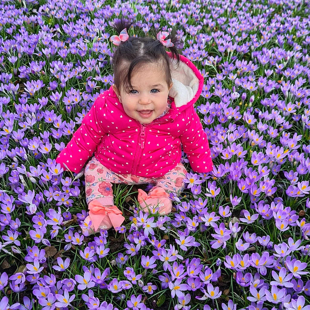 Alyara joined the competition — help win amazing prizes! baby, booties, child, crocus, floral_print, flower_field, flowers, girl, grass, hair_bows, nature, outdoors, pigtails, pink_jacket, portrait, purple_flowers, sitting, smiling, spring, toddler