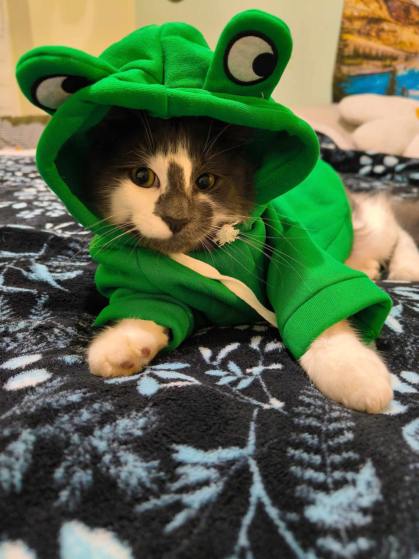 Aston Et Ratatouille