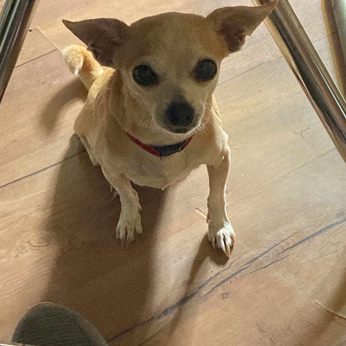 Tiny