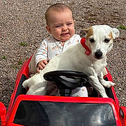 Isadora participe au concours pour gagner de l'argent avec cette photo : baby, dog, toy_car, red, gravel, outdoor, child, pet, animal, cute, playful, smiling, steering_wheel, white_dog, brown_patch, clothing, sitting, face, fun, sunlight