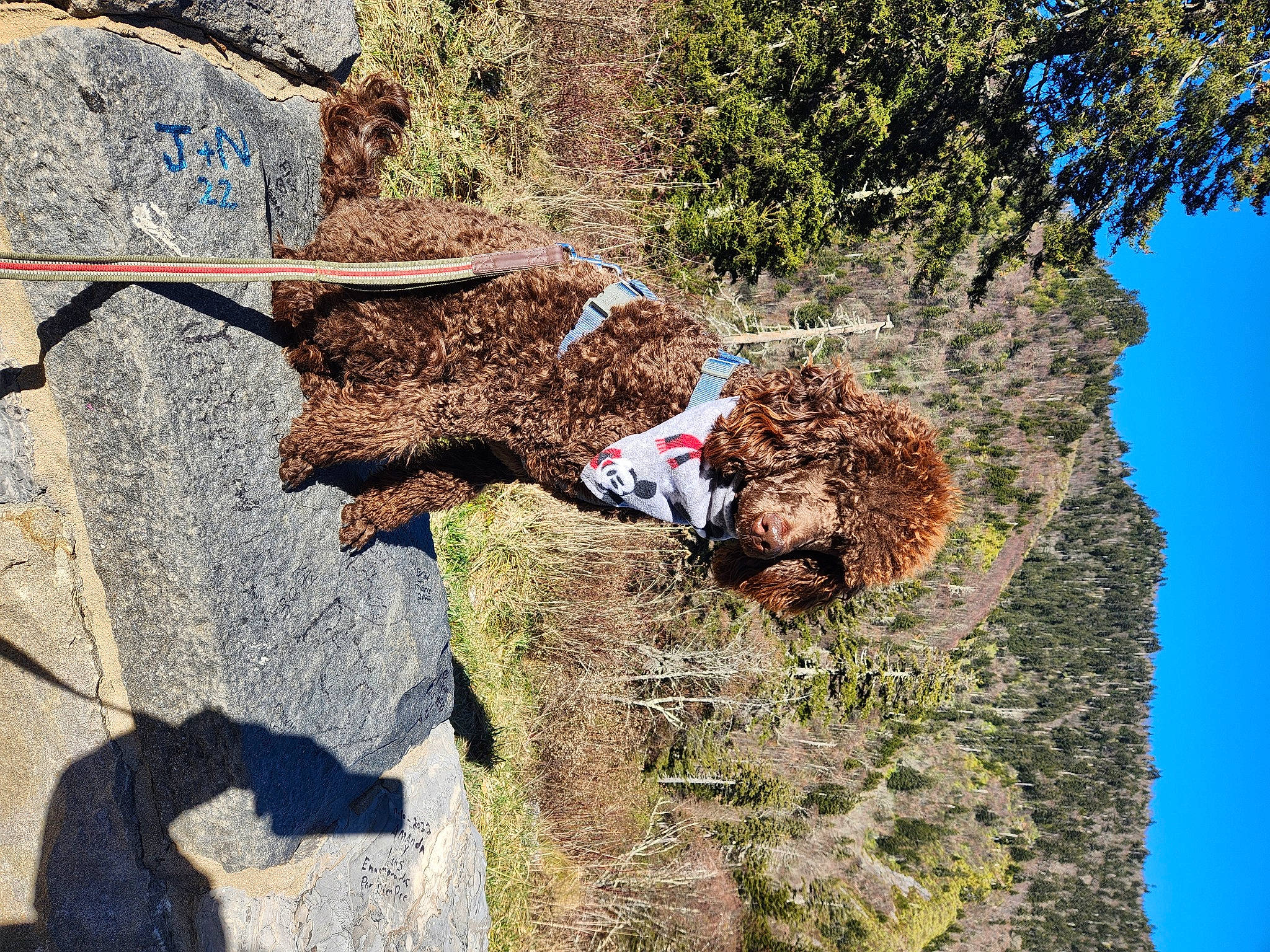 Hopper joined the competition — help win amazing prizes! adaptation, art, bedrock, branch, cobblestone, flagstone, grass, landscape, leisure, outcrop, people_in_nature, plant, rock, shrub, sky, soil, stone_wall, tree, trunk, wood