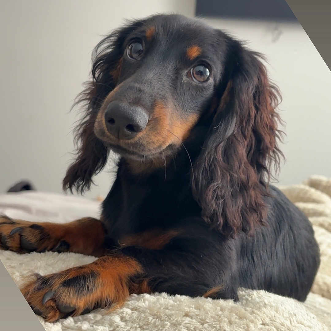Roux