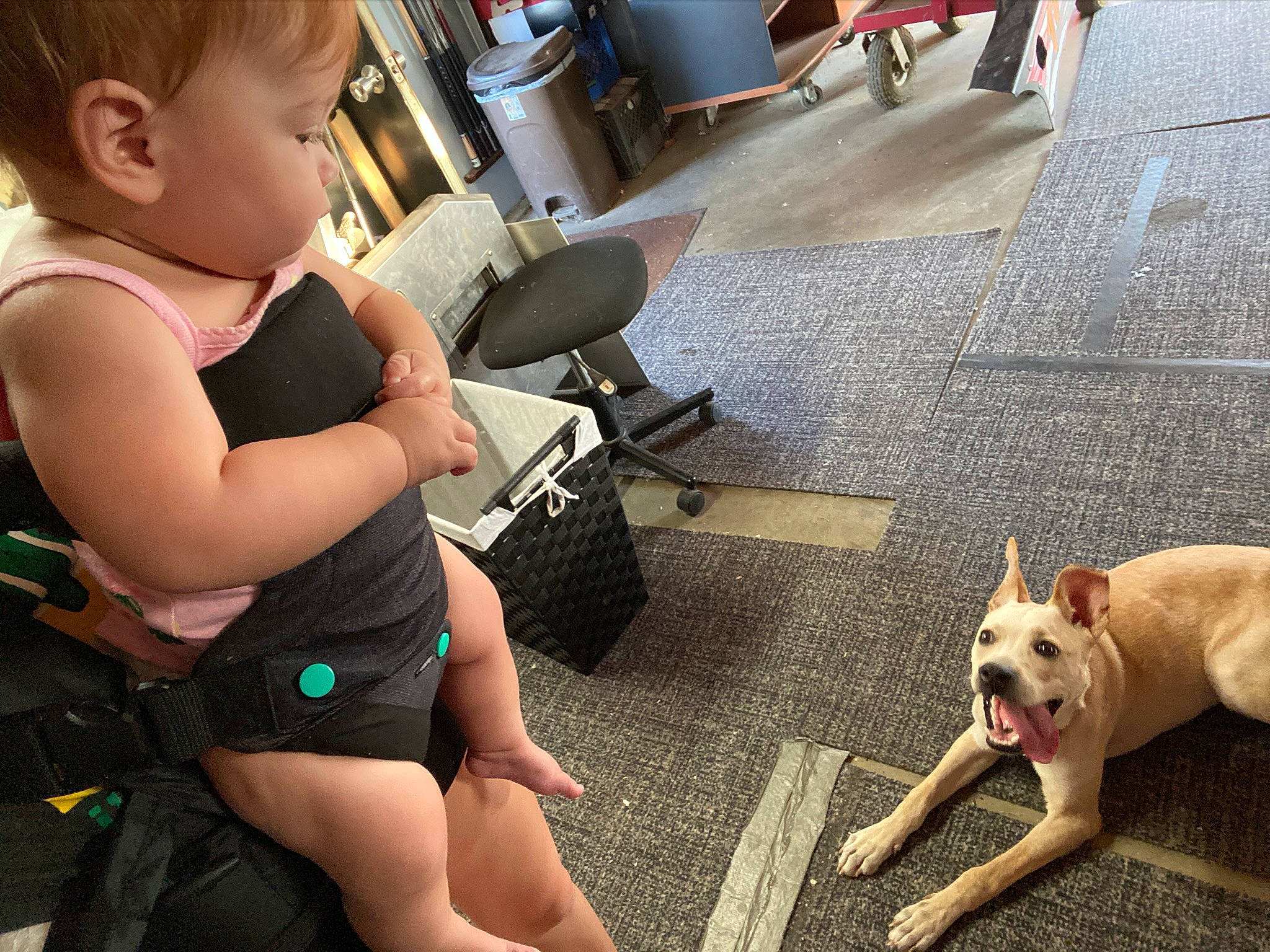 Chloe joined the competition — help win amazing prizes! baby, bulldog, canidae, carnivore, child, companion_dog, dog, dog_breed, ear, fawn, french_bulldog, leash, leg, non_sporting_group, person, pit_bull, puppy, puppy_love, sitting, toddler