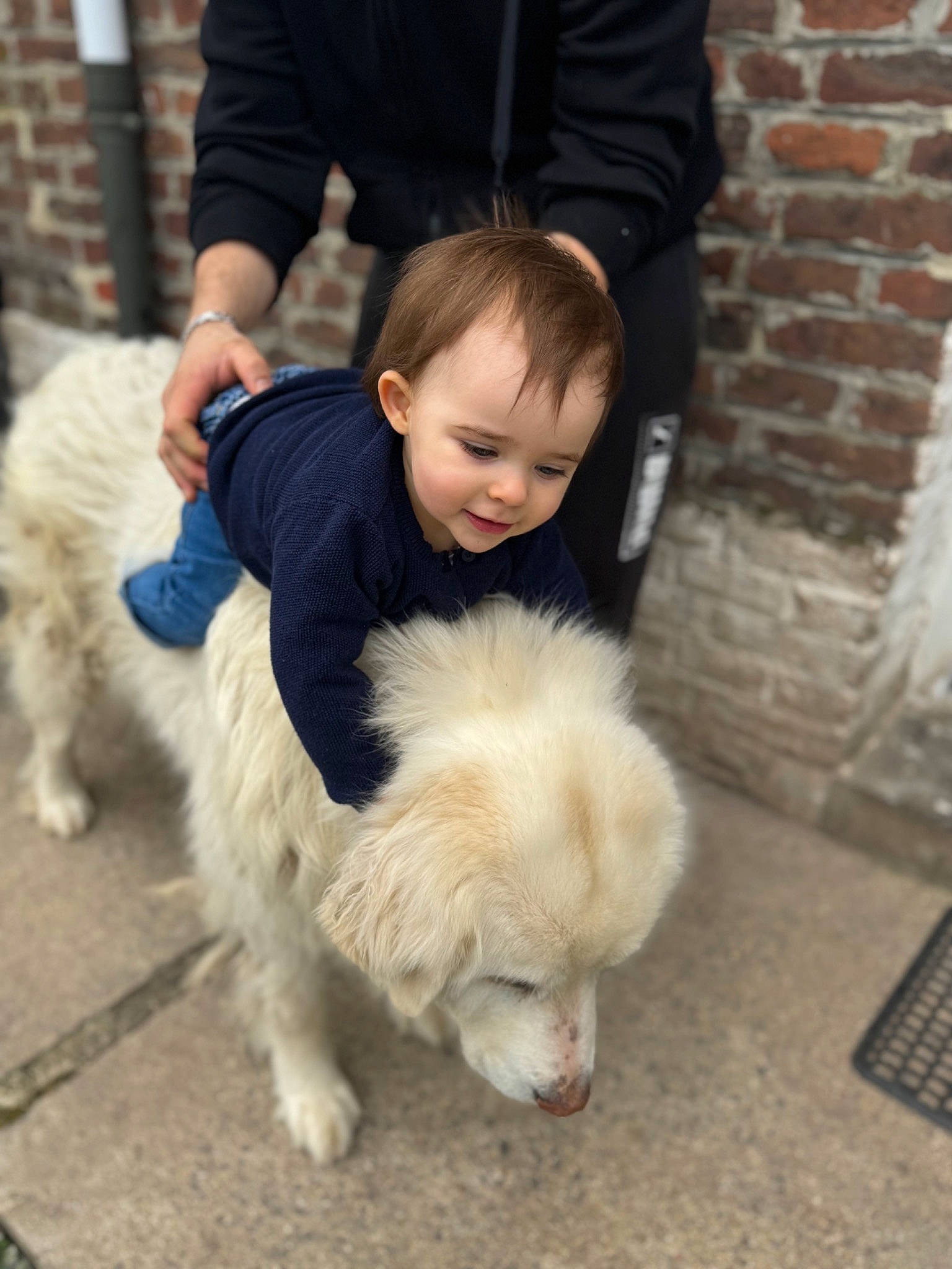 Louise a rejoint le concours — aidez-le/la à gagner de superbes lots ! canidae, carnivore, child, companion_dog, dog, dog_breed, flooring, fun, fur, german_spitz, mammal, person, puppy_love, sitting, small_terrier, smile, spitz, sporting_group, terrier, toddler