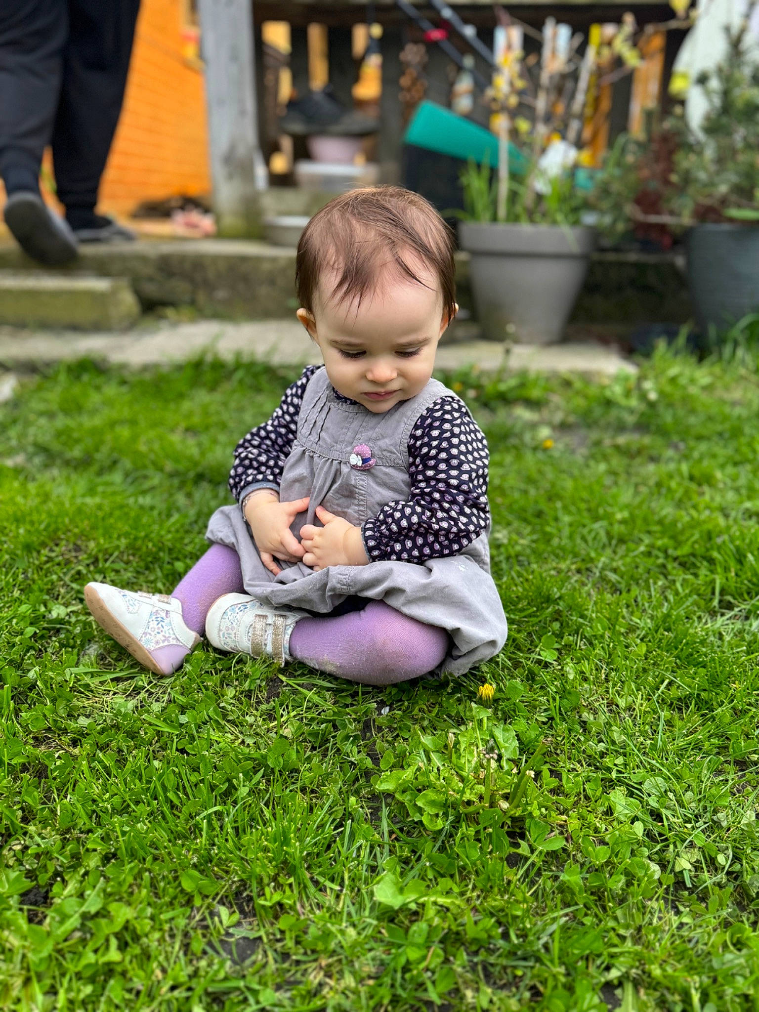 Louise participe au concours pour gagner de l'argent avec cette photo : baby, baby_toddler_clothing, botany, child, flowerpot, fun, garden, grass, grass_family, groundcover, happy, houseplant, lawn, leg, leisure, people_in_nature, person, plant, recreation, sitting