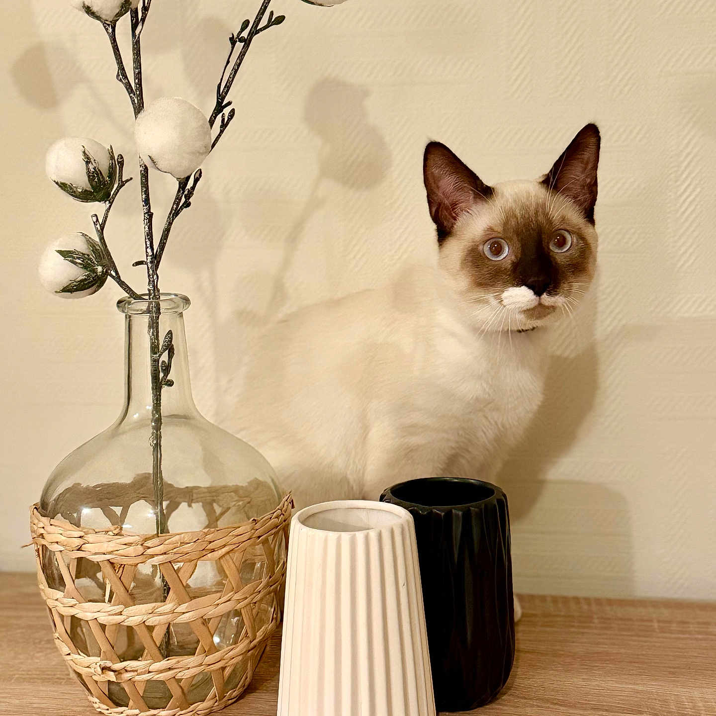 Mocha