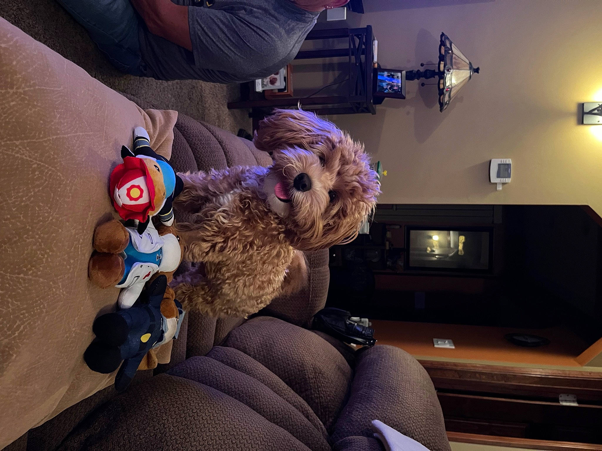 Bella joined the competition — help win amazing prizes! animation, art, comfort, couch, fawn, fictional_character, fun, fur, games, human_leg, lap, light_fixture, plush, purple, room, selfie, stuffed_toy, teddy_bear, thigh, toy