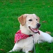 Volt a rejoint le concours — aidez-le/la à gagner de superbes lots !