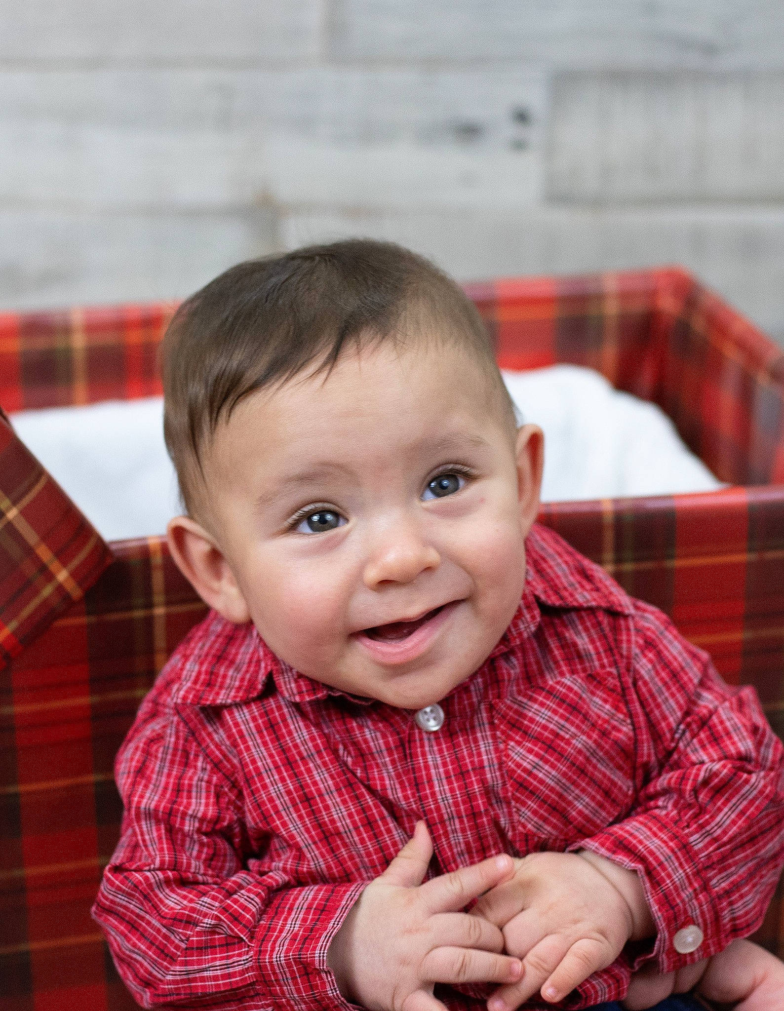 Rene joined the competition — help win amazing prizes! baby_toddler_clothing, cheek, chin, collar, eye, face, facial_expression, hairstyle, happy, head, human, iris, lip, nose, person, plaid, shirt, skin, sleeve, smile