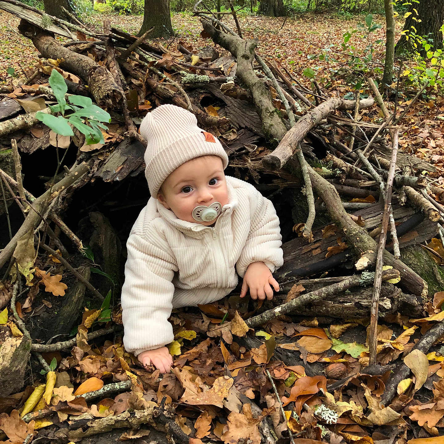 Gohan a rejoint le concours — aidez-le/la à gagner de superbes lots ! autumn, baby, beanie, branches, child, cozy, curious, cute, explorer, fall, forest, leaves, nature, outdoor, pacifier, person, play, seasonal, wood, woodland