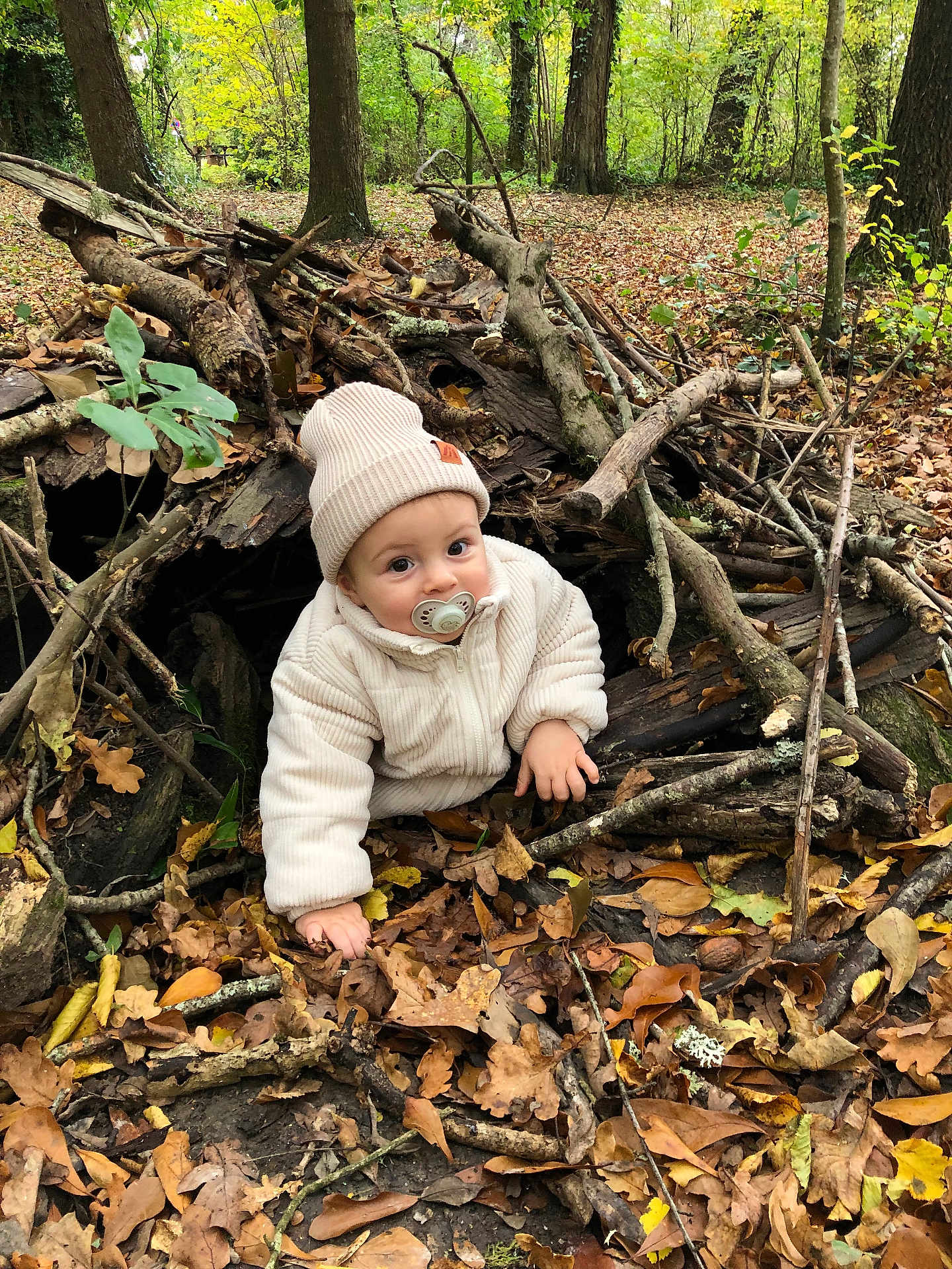 Gohan a rejoint le concours — aidez-le/la à gagner de superbes lots ! baby, child, forest, leaves, branches, wood, nature, outdoor, autumn, beanie, pacifier, curious, cozy, explorer, woodland, cute, person, seasonal, fall, play
