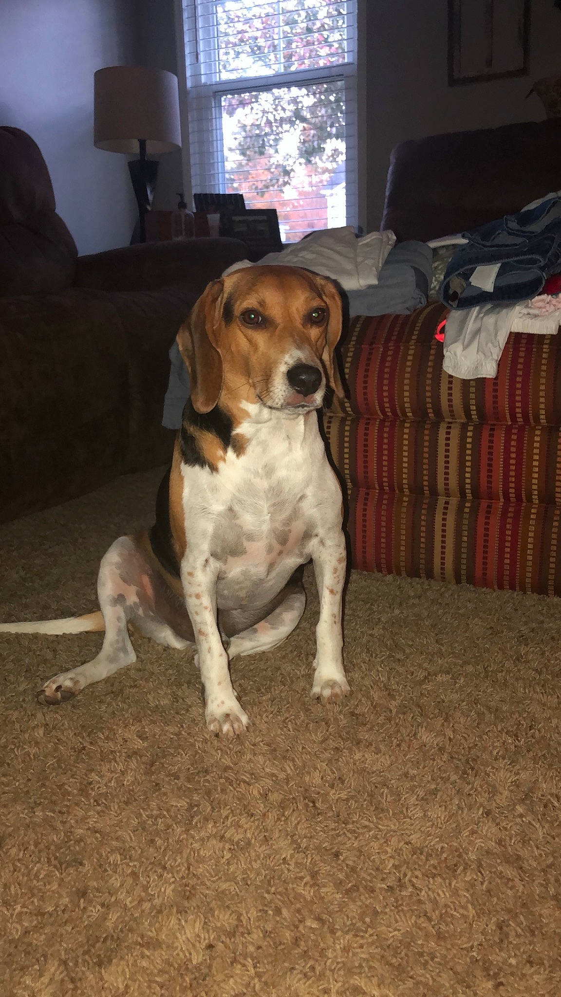 Buckley joined the competition — help win amazing prizes!