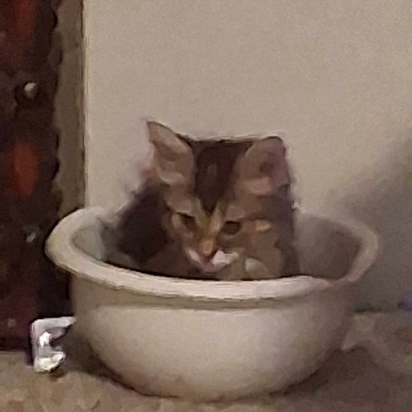 Khora joined the competition — help win amazing prizes! blurred, bowl, carpet, cat, closeup, container, corner, cute, ears, fur, grainy, household, indoor, kitten, low_light, pet, sitting, sleepy, wall, whiskers