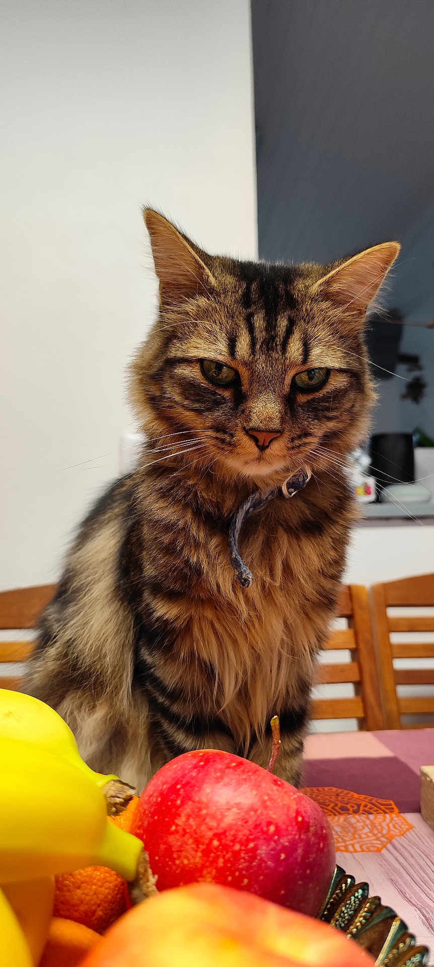 Ziggy