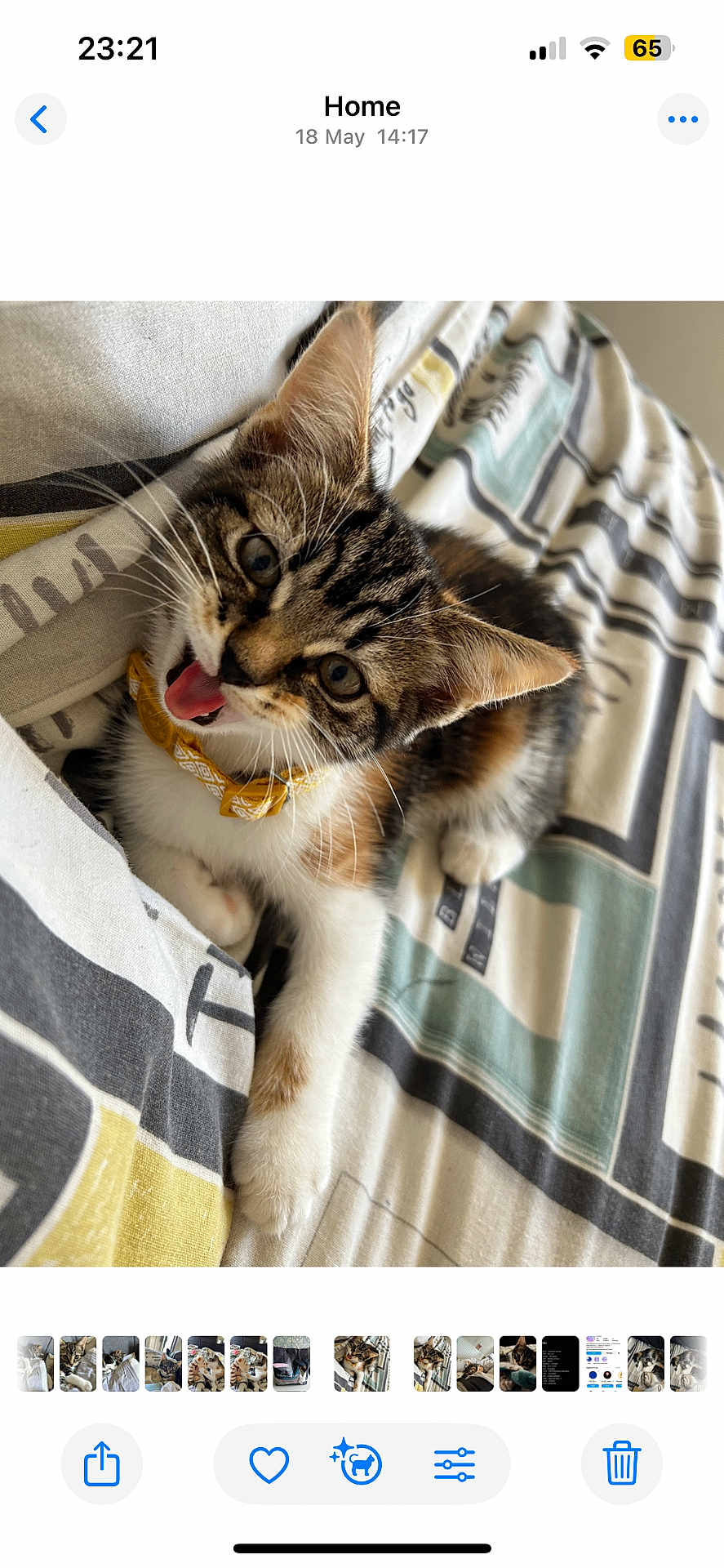 Penny