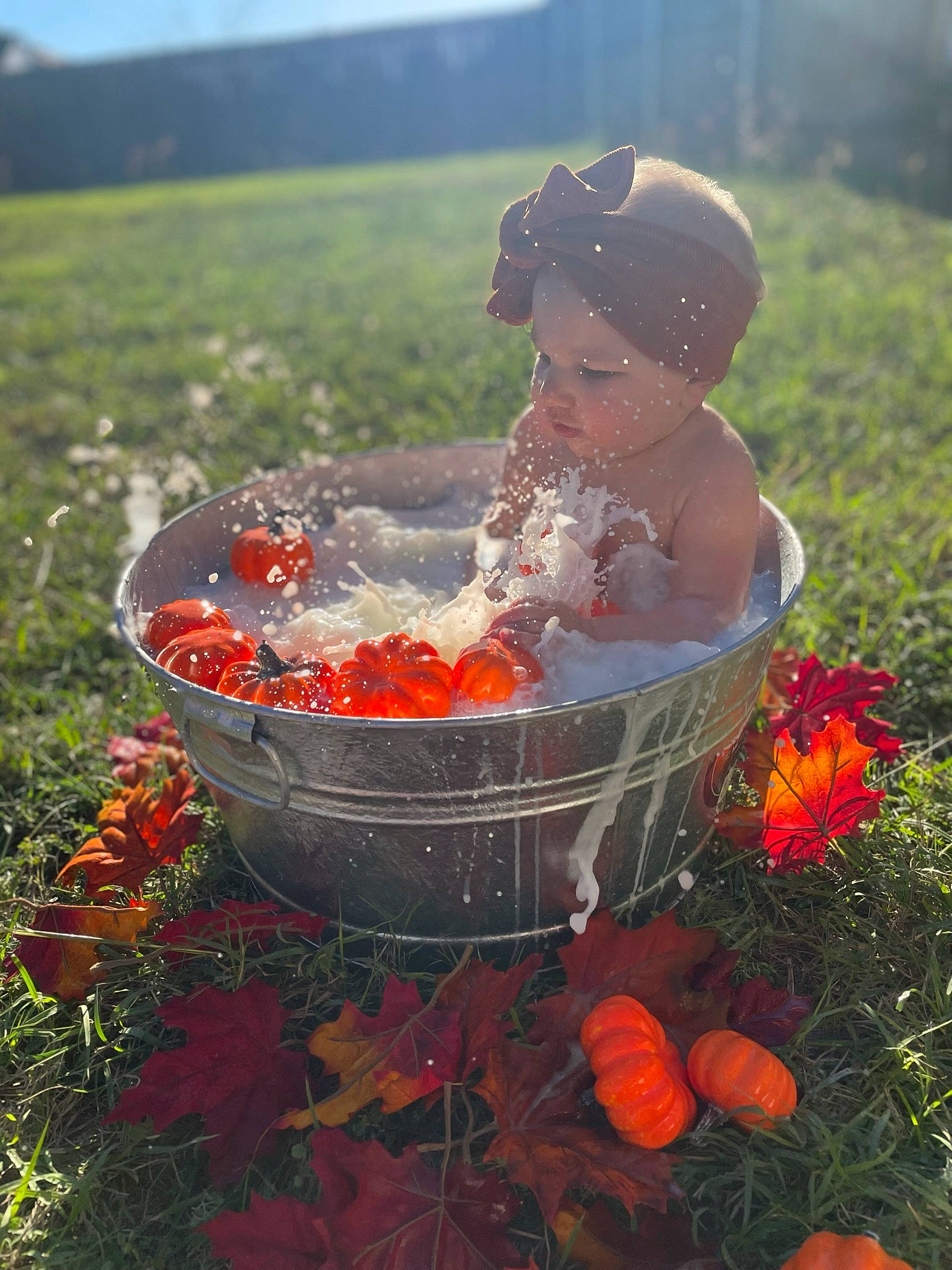 Ainsley is registered to the contest to win money with this photo: baby, cart, child, flower, food, fruit, grass, happy, hat, landscape, leaf, leisure, people_in_nature, person, plant, recreation, red, sky, spring, toddler