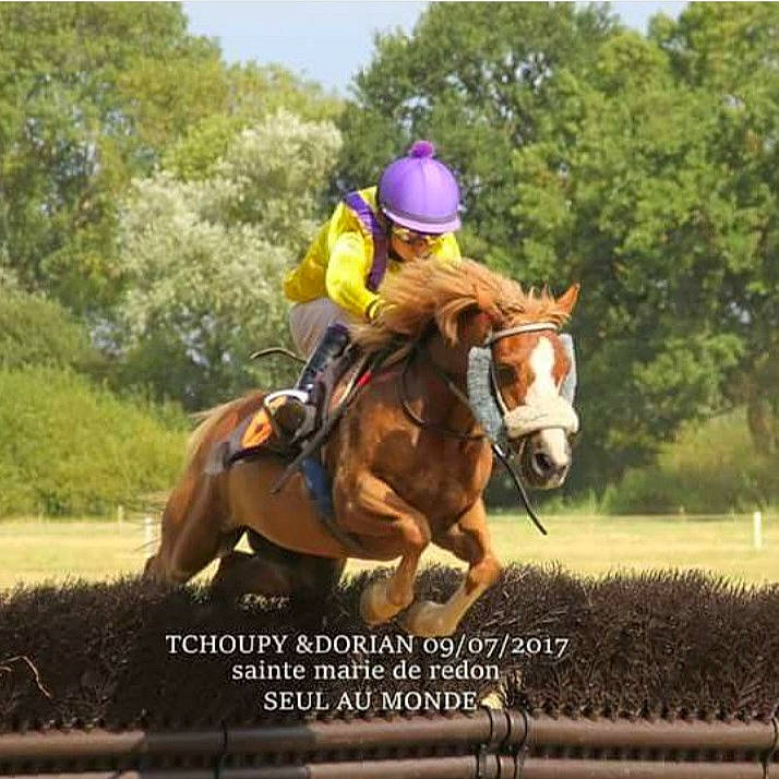 Tchoupy participe au concours pour gagner de l'argent avec cette photo : animal_sports, bridle, english_riding, equestrian_sport, equestrianism, equitation, eventing, halter, horse, horse_supplies, horse_tack, jockey, mammal, mare, outdoor_recreation, recreation, rein, saddle, vertebrate, western_riding