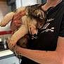 animal, black_shirt, bracelet, close_up, comfort, cute, dog, fur, holding, human_hand, indoors, kitchen, love, peaceful, person, pet, puppy, resting, sleeping, tattoo