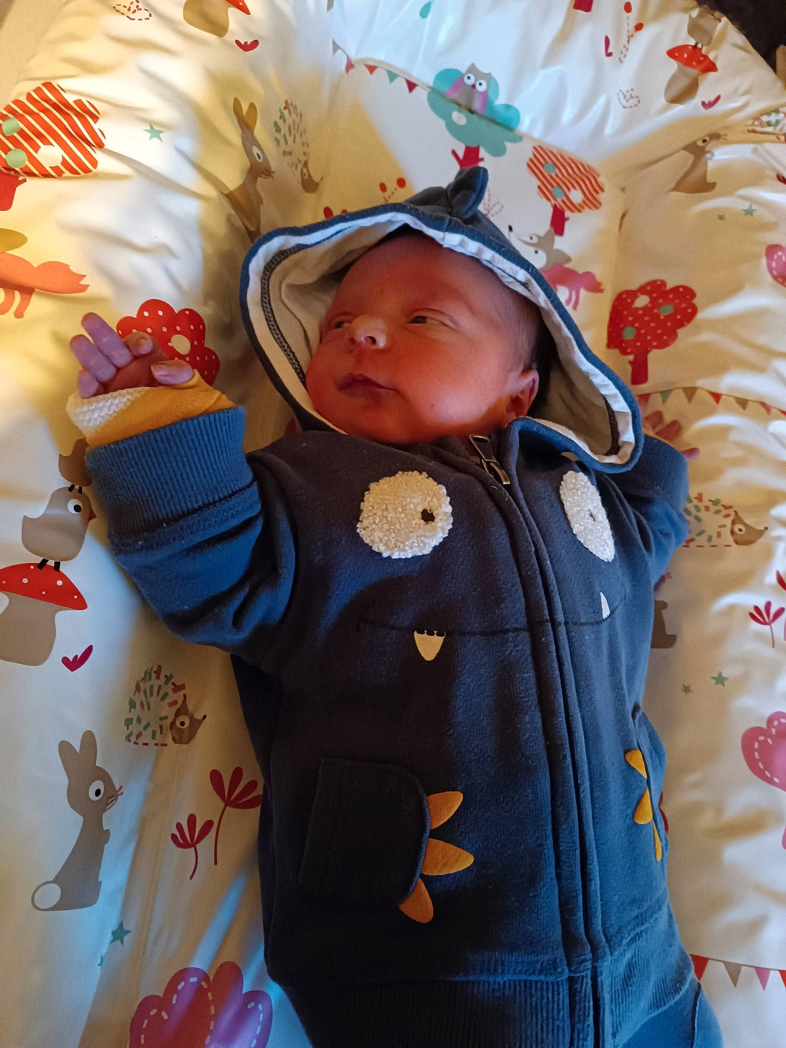 Heimdall a rejoint le concours — aidez-le/la à gagner de superbes lots ! baby, baby_products, baby_toddler_clothing, beauty, cheek, child, face, happy, hood, jacket, linens, outerwear, pattern, people, person, product, room, skin, sleeve, textile