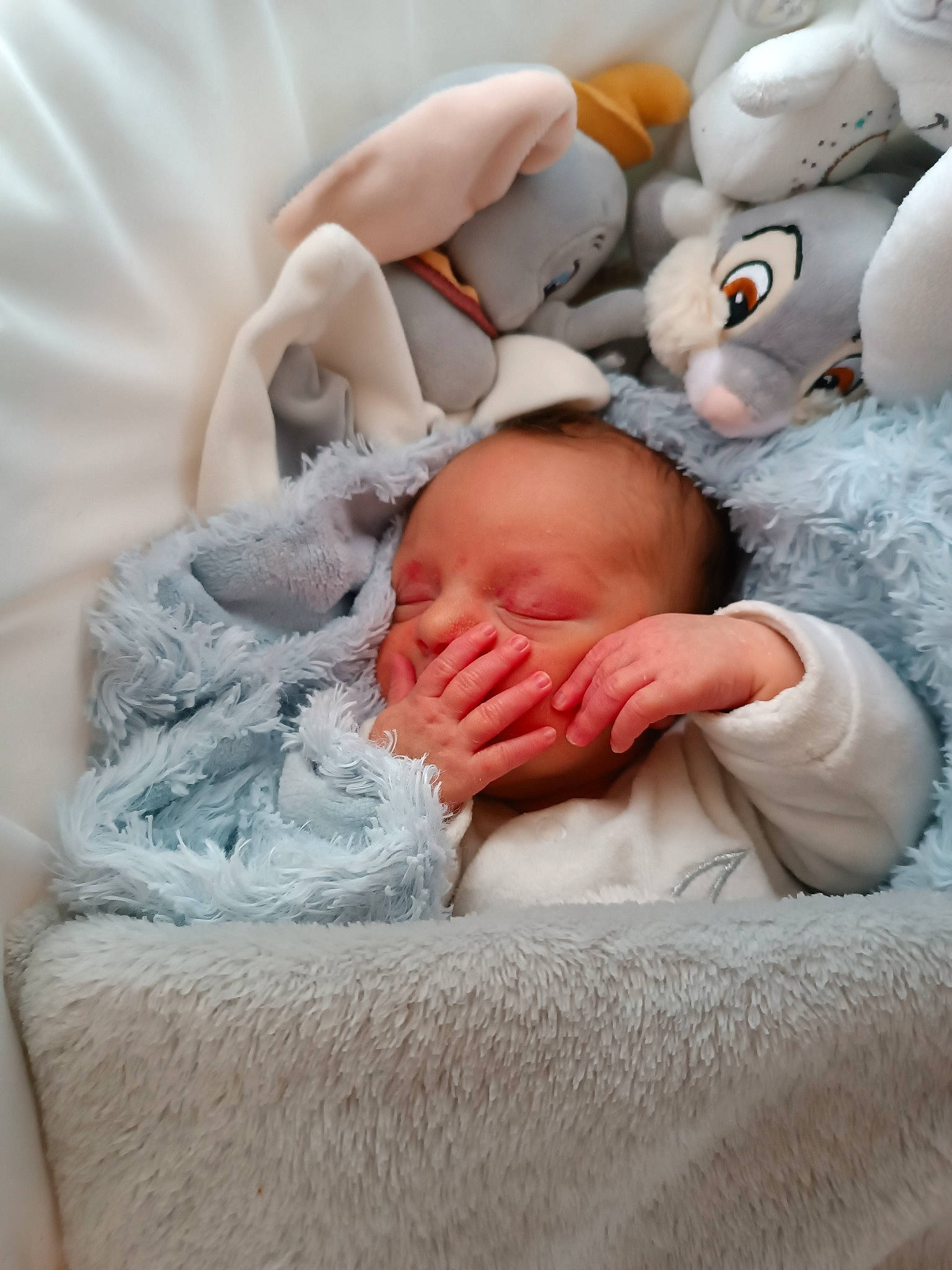 Heimdall a rejoint le concours — aidez-le/la à gagner de superbes lots ! baby, baby_products, baby_sleeping, baby_toddler_clothing, bedding, bedtime, cheek, child, comfort, event, eye, face, finger, fur, head, linens, nap, person, skin, sleep