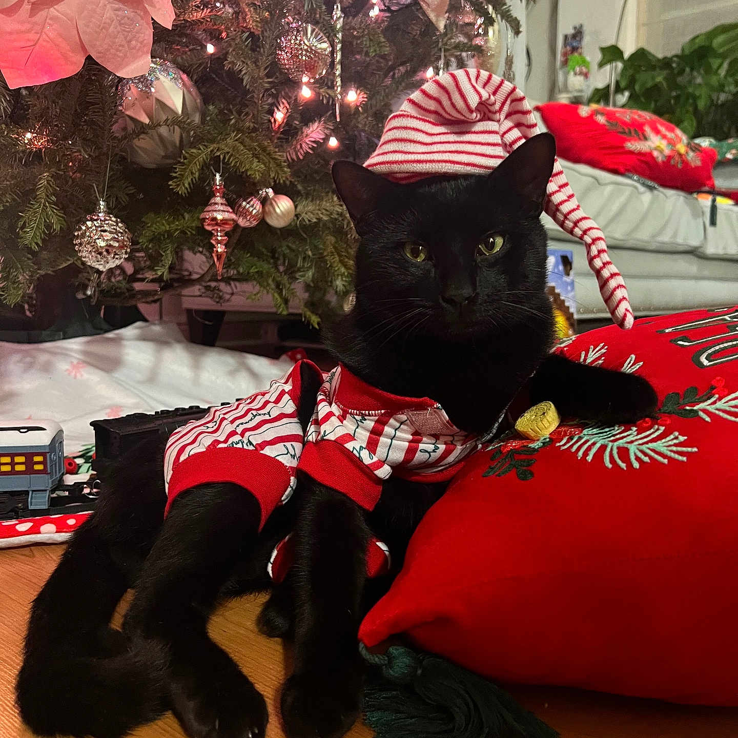 Meemow