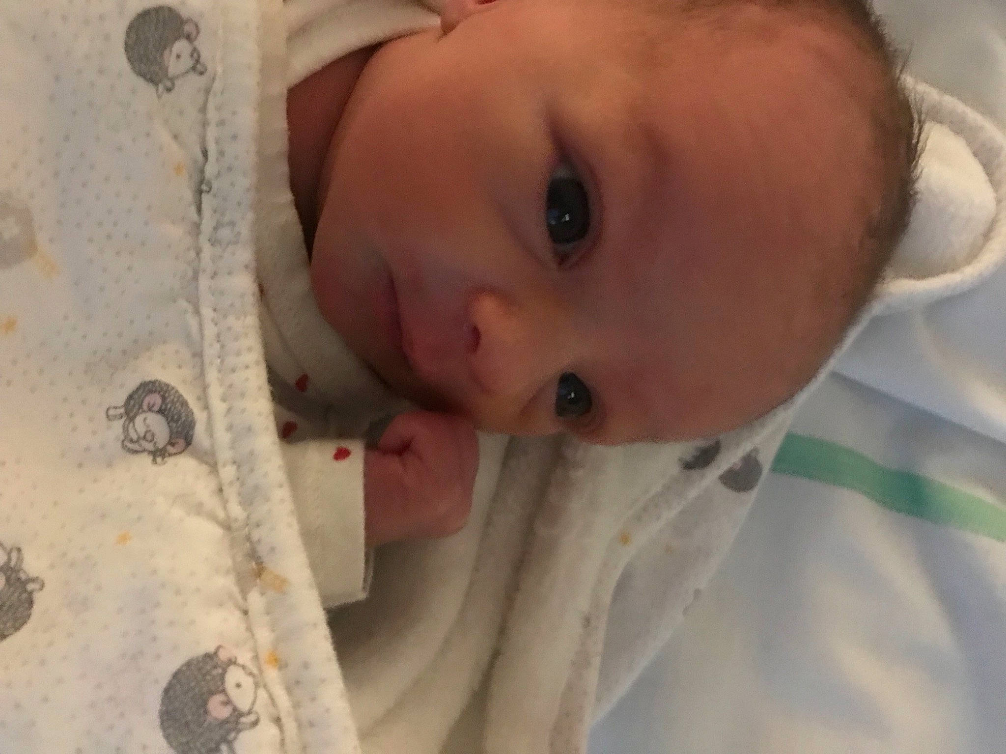 Victoire a rejoint le concours — aidez-le/la à gagner de superbes lots ! baby, baby_safety, baby_toddler_clothing, cheek, chin, comfort, eye, eyebrow, eyelash, human_body, iris, lip, mammal, mouth, nose, person, skin, sleeve, smile, textile