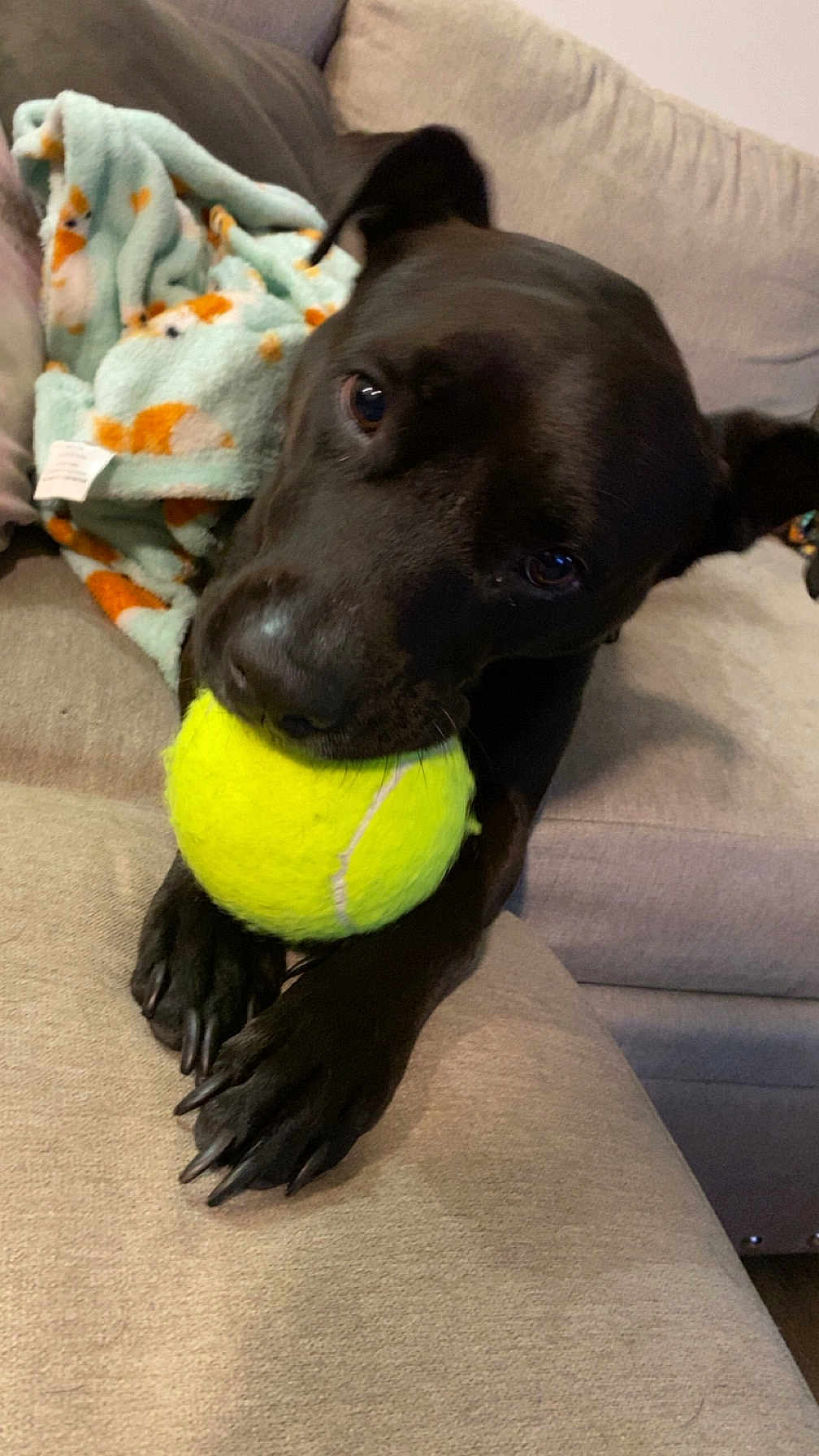 Pepper Marie