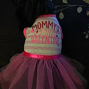 Rosie H. joined the competition — help win amazing prizes! baby_products, baby_toddler_clothing, costume, doll, dress, event, fashion_accessory, fashion_design, font, formal_wear, logo, magenta, neck, peach, pink, shoulder, sleeve, sportswear, t_shirt, top