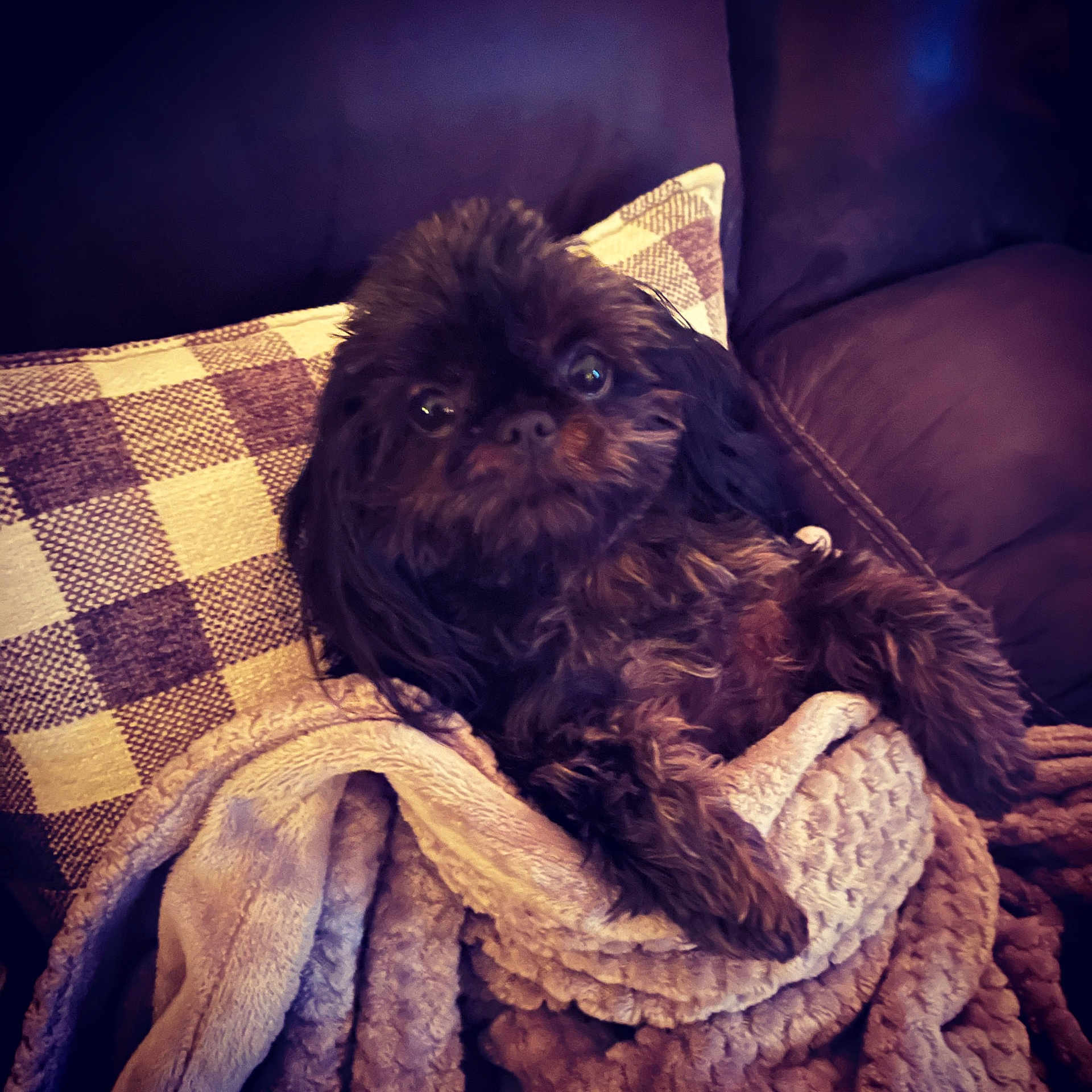 Rosie H.
