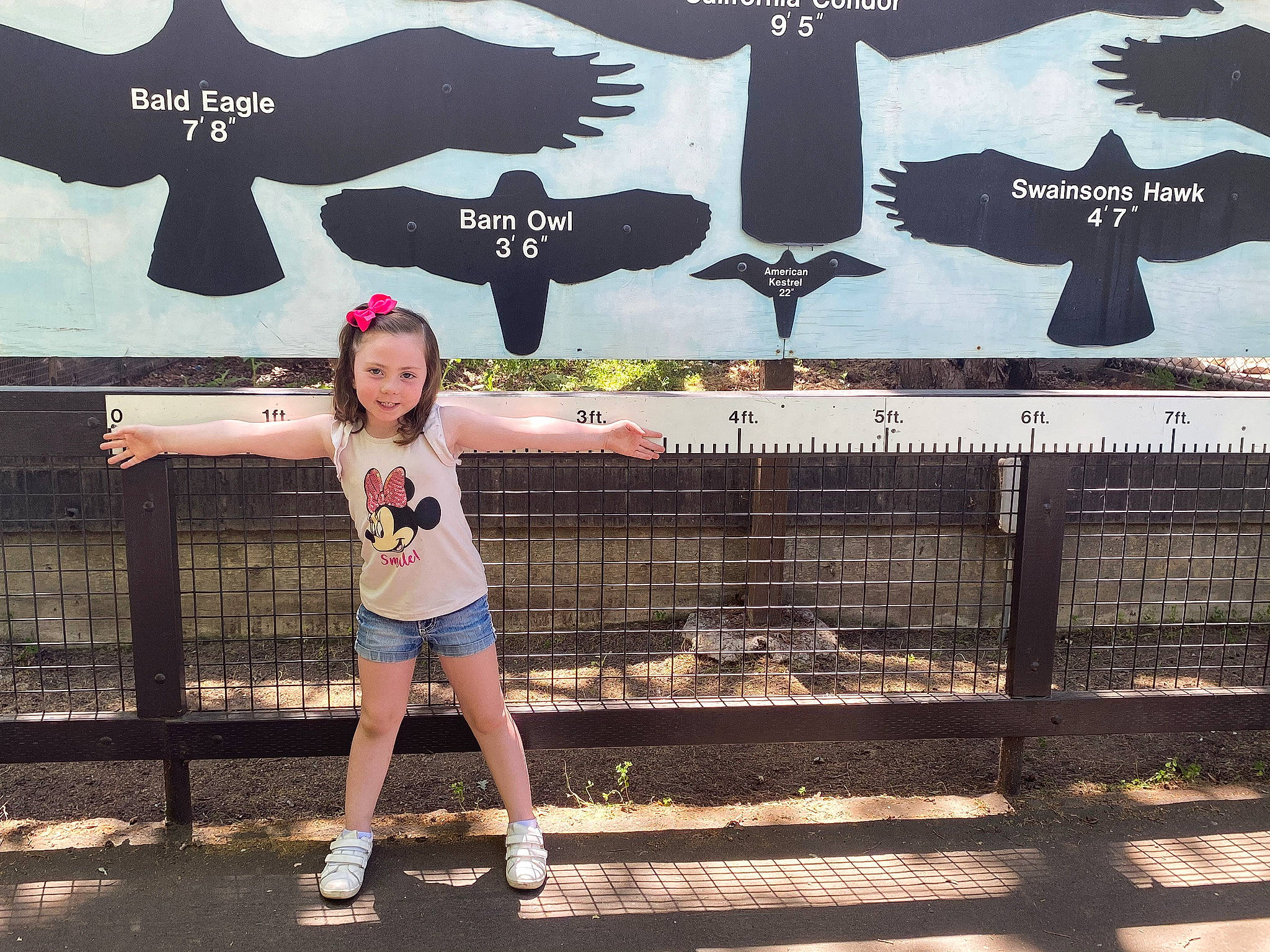 Paislee is registered to the contest to win money with this photo: black, cool, fence, font, happy, joy, leisure, line, morning, person, photograph, shoe, snapshot, standing, street_fashion, style, t_shirt, toddler, travel, tree