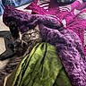 cat, blanket, bed, gaming_controller, feline, stretching, indoor, sleeping, cozy, purple_blanket, green_blanket, striped_cat, paw, comfort, relaxed, fur, resting, home, casual, soft_texture