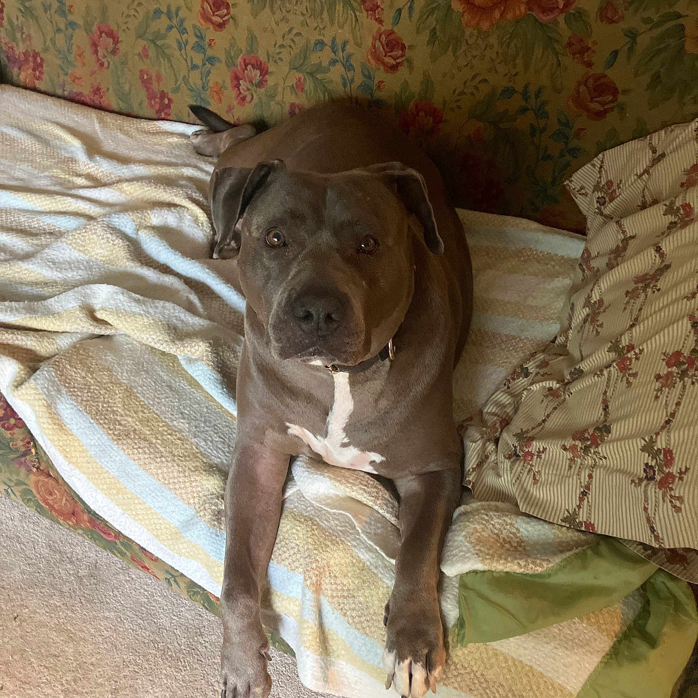 Duncan