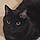 Salem