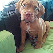 Mila a rejoint le concours — aidez-le/la à gagner de superbes lots !