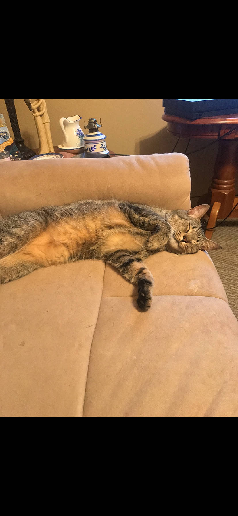 Charlie is registered to the contest to win money with this photo: bed, bedding, carnivore, cat, comfort, domestic_short_haired_cat, fawn, felidae, flooring, fur, hardwood, human_leg, leg, linens, room, small_to_medium_sized_cats, tail, terrestrial_animal, whiskers, wood