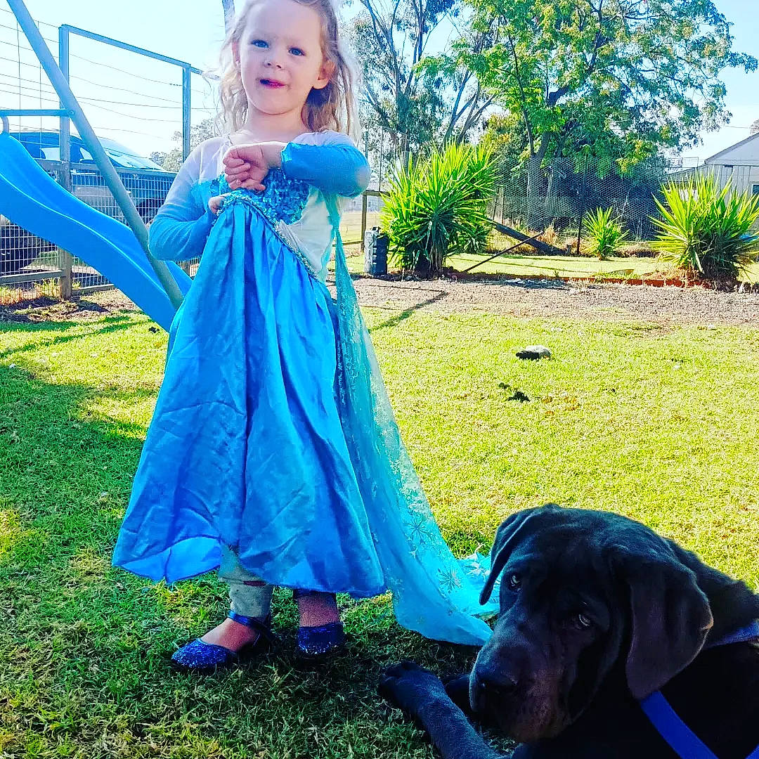 Gracie is registered to the contest to win money with this photo: azure, blue, carnivore, day_dress, dog, dog_breed, dress, electric_blue, eye, grass, grass_family, grassland, green, happy, people_in_nature, person, plant, sky, summer, toddler