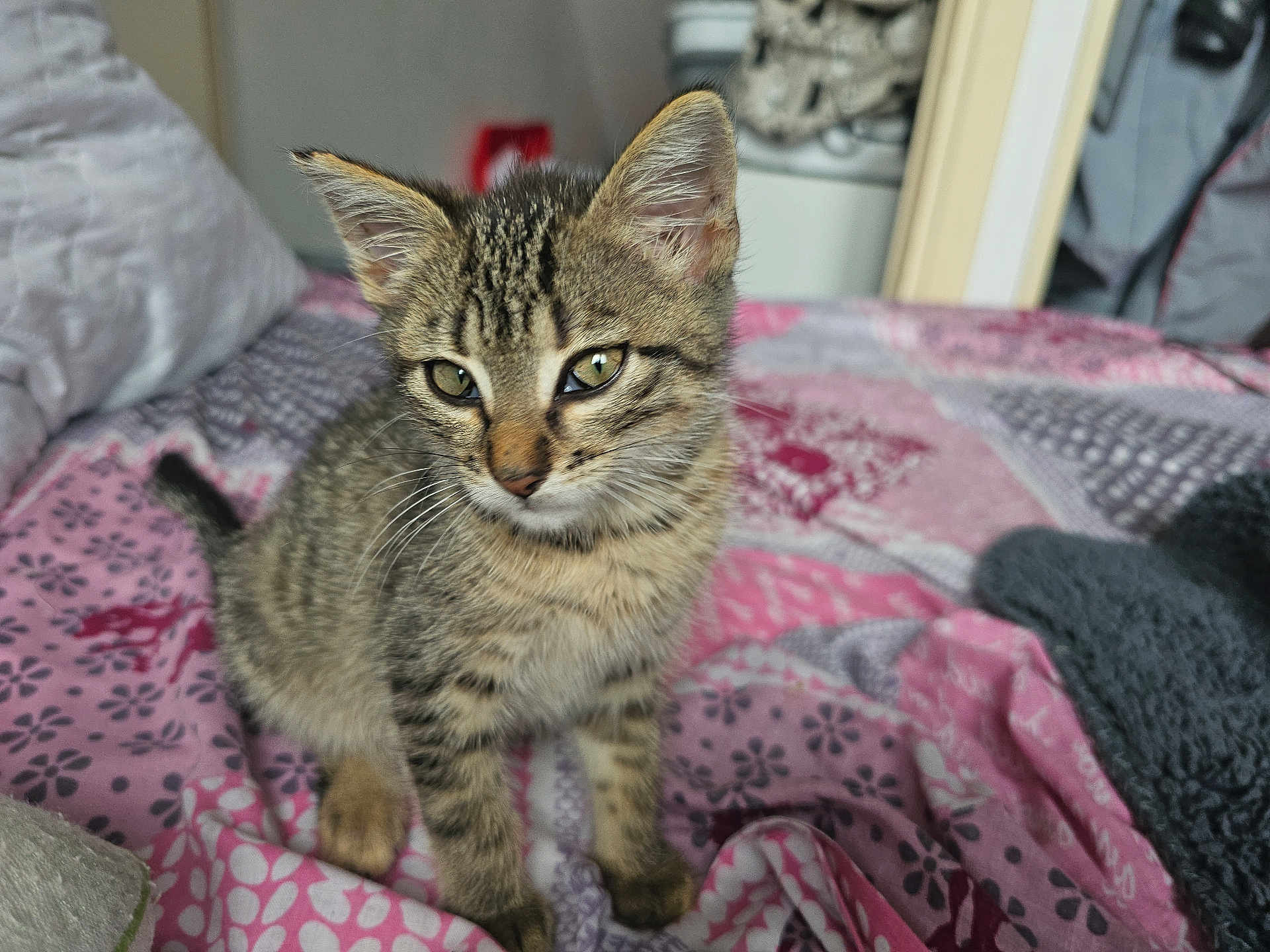 Mia