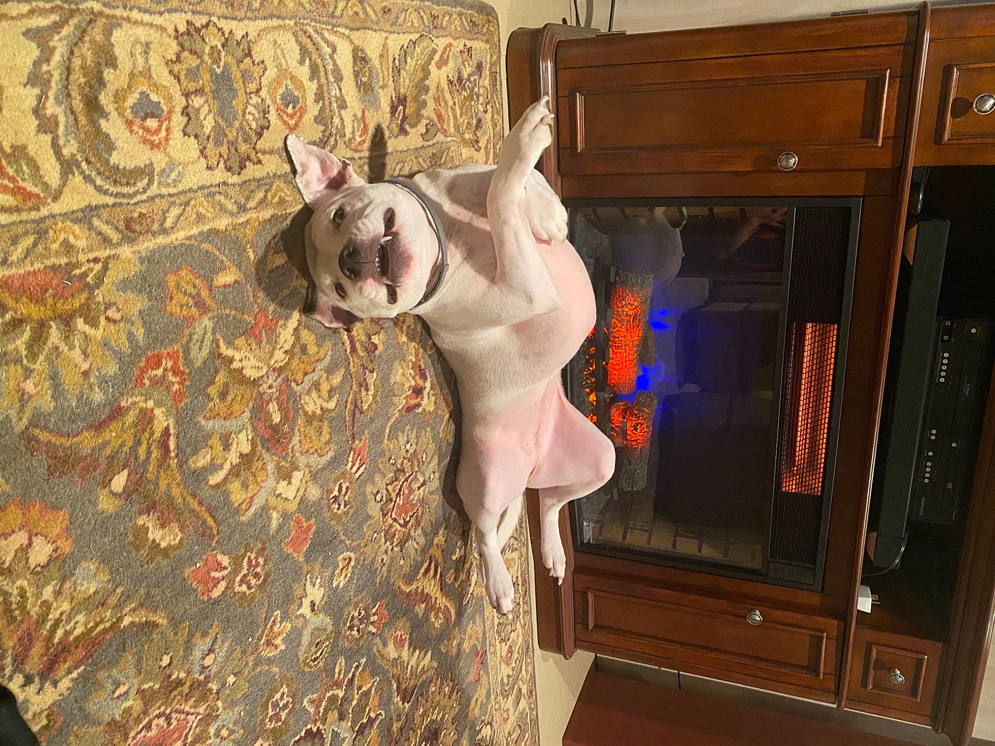 Monkey is registered to the contest to win money with this photo: cabinetry, cable_television, cupboard, display_device, hardwood, home_appliance, linens, television_accessory, toy, varnish, wood_stain